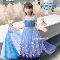 Dress Princess Elsa Frozen...