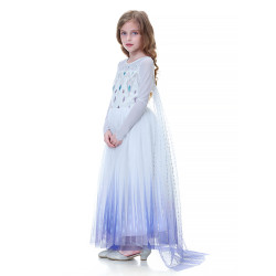 Dress Princess Elsa Frozen White Purple