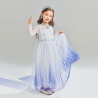 Dress Princess Elsa Frozen White Purple