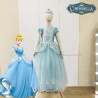 Dress Princess Cinderella B