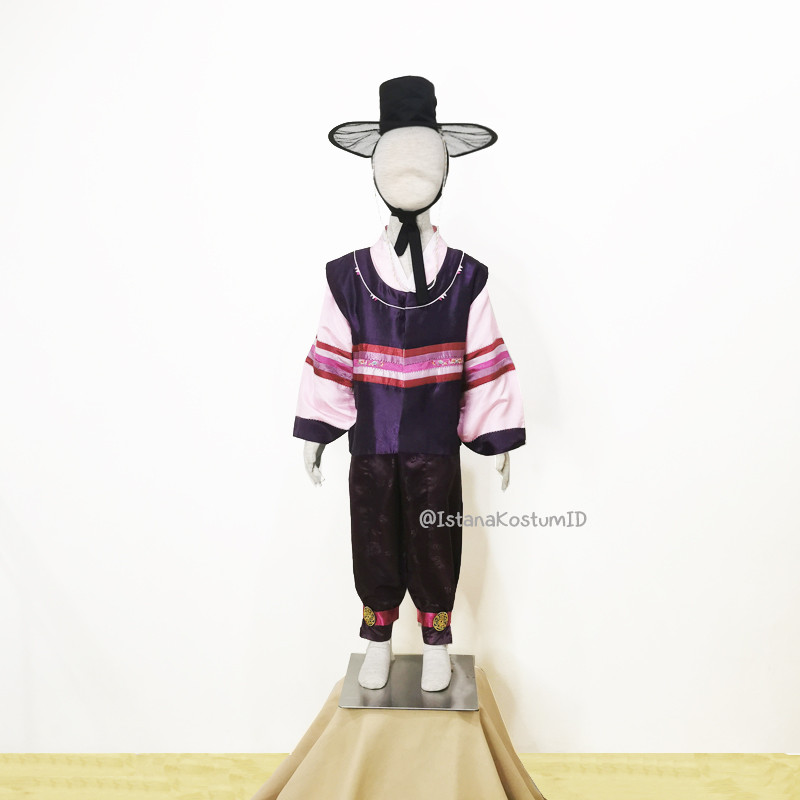 Baju Negara Korea Hanbok Pink Purple Boy B