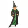 Kostum Penyihir Witch Green Black Velvet