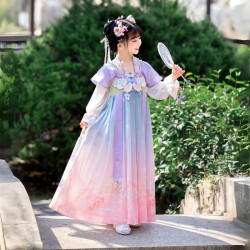 Baju Negara China Hanfu Premium Purple Green Peach Girl