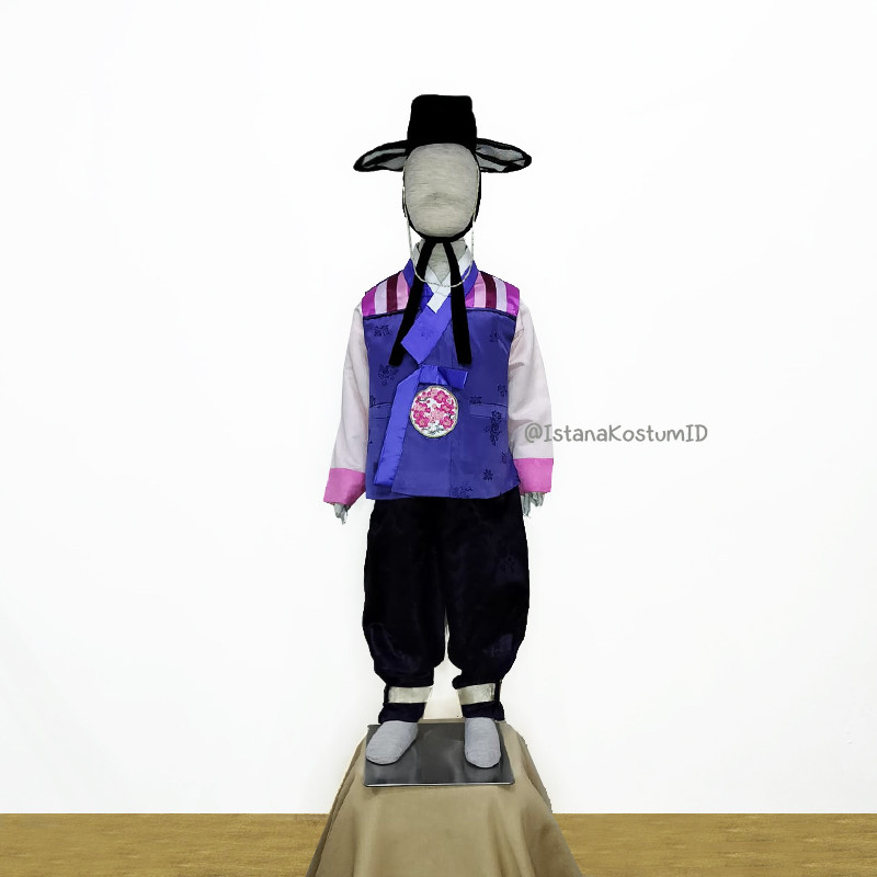 Baju Negara Korea Hanbok Pink Purple Boy D