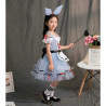 Dress Alice In Wonderland C