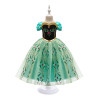 Dress Princess Anna Frozen Green