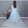 Dress Princess Elsa Frozen Glitter Long Wing