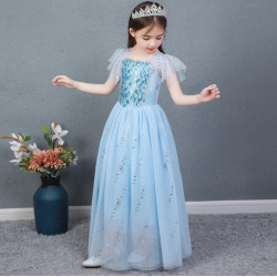 Dress Princess Elsa Frozen Glitter Long Wing