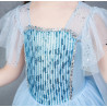 Dress Princess Elsa Frozen Glitter Long Wing