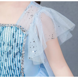 Dress Princess Elsa Frozen Glitter Long Wing