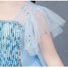 Dress Princess Elsa Frozen Glitter Long Wing